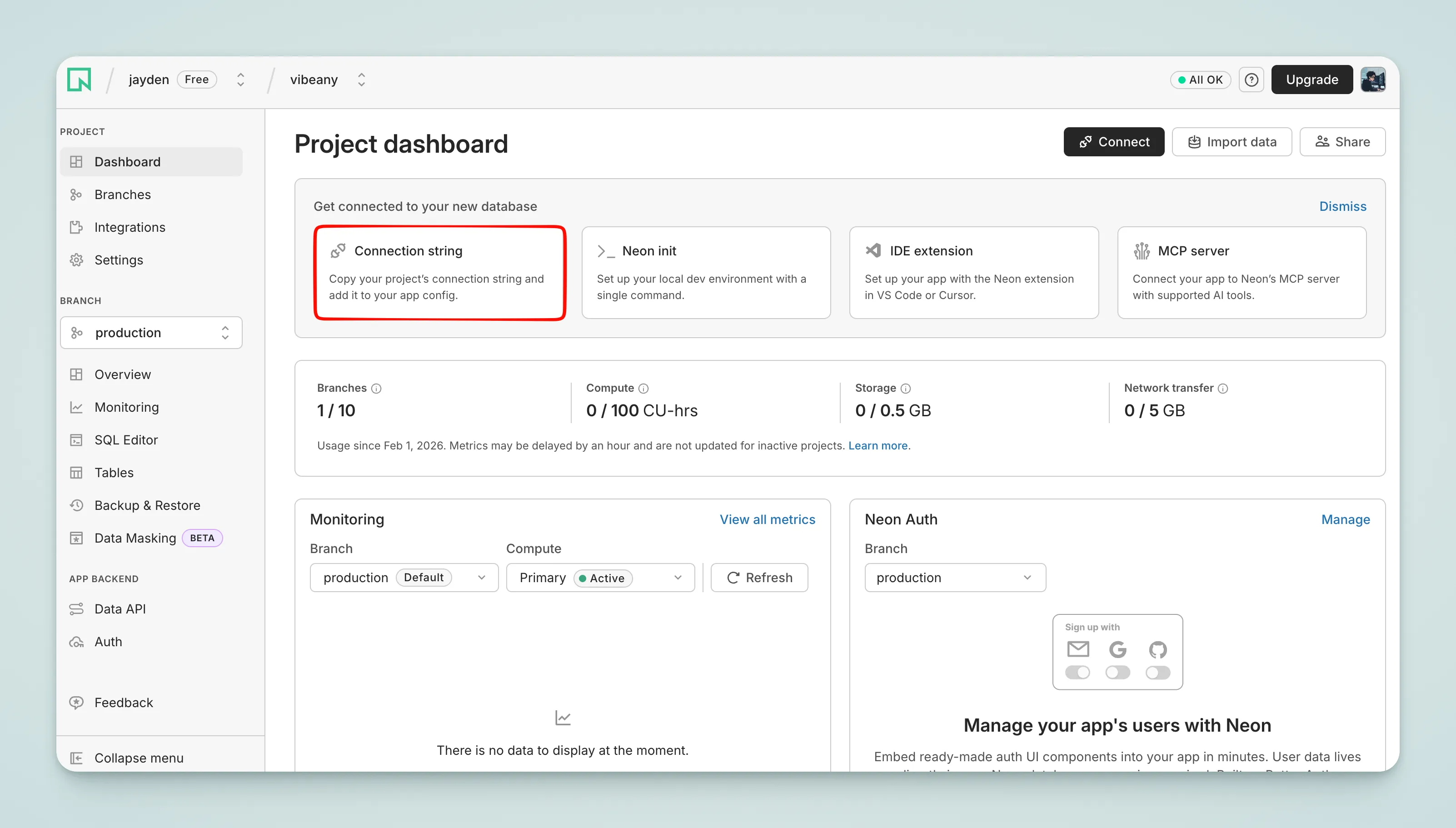 Neon Connection String